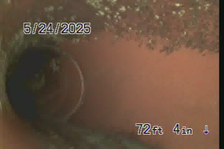 Frame